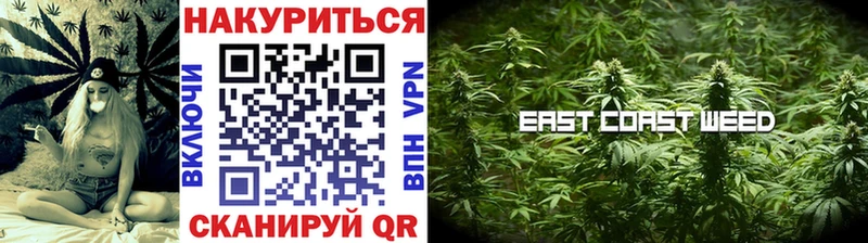 Каннабис сатива  Бабушкин 